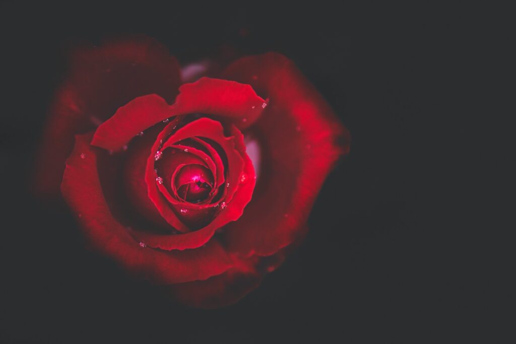 simone-dalmeri-48KNCEZVaE0-unsplash