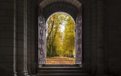Love and Knowledge in the Light of Unity | the Direct Path