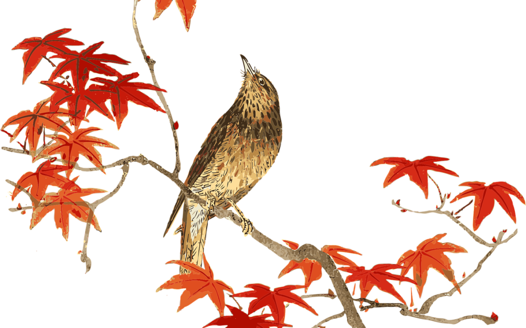 The Nightingale in the Garden of Love