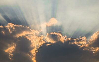 Mystics and Metaphysicians, East and West, Past and Present – and Future